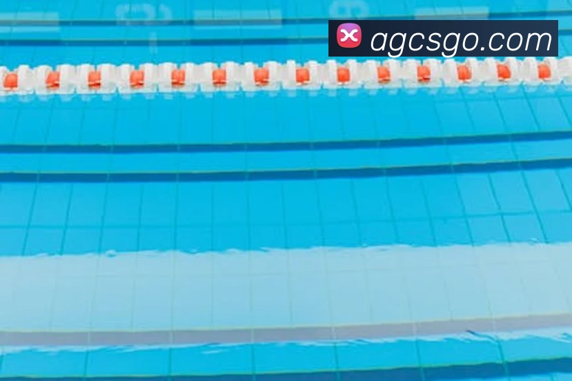 App Interface Preview